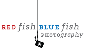 Red Fish Blue Fish Photography Logo